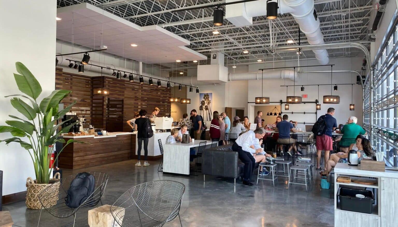 The Top 7 Coffee Shops in Jacksonville 2024 Alpine Mountain Coffee