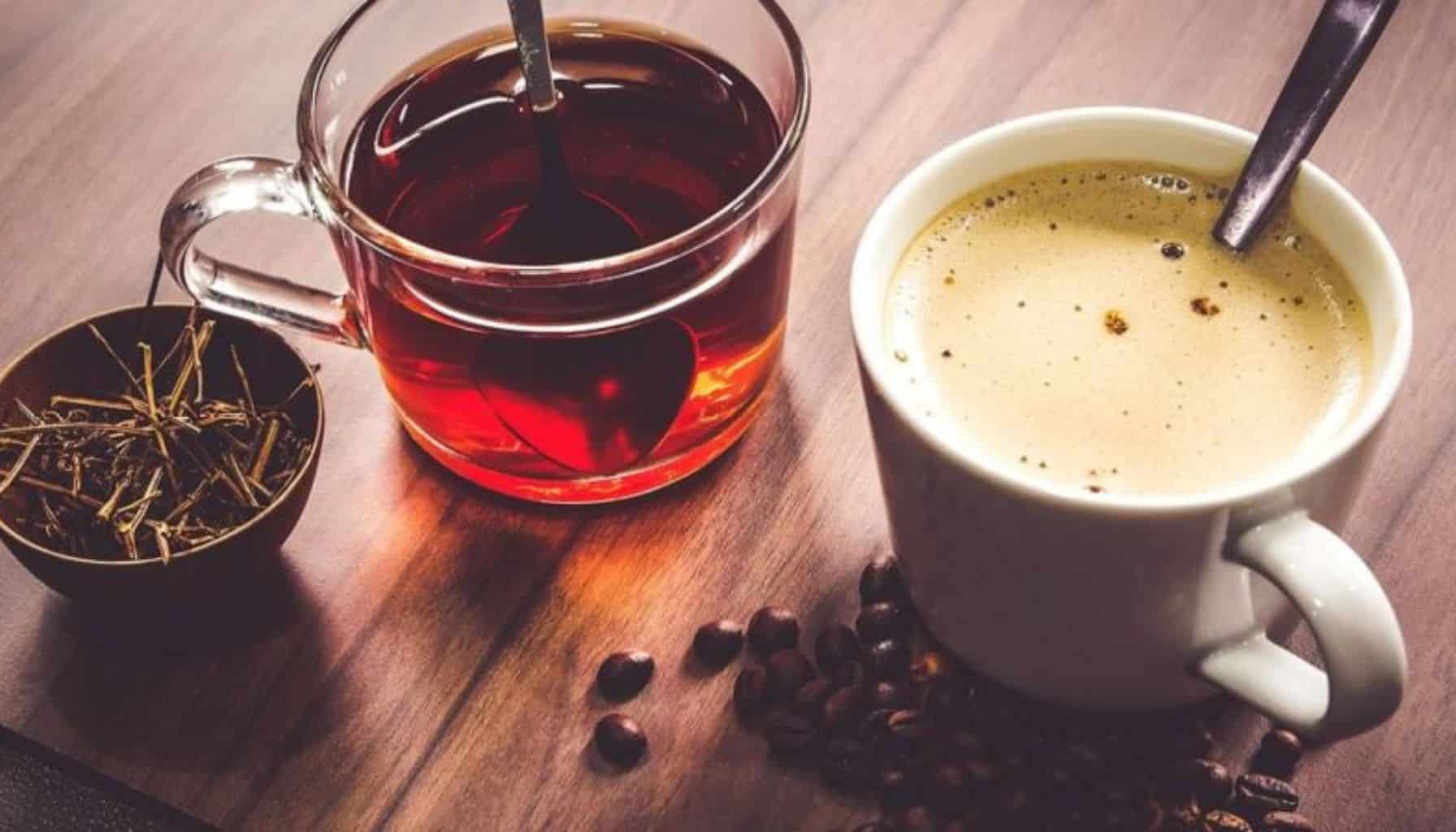 Does Coffee Have More Caffeine Than Tea? Alpine Mountain Coffee