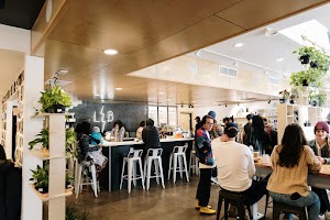 Little Bear Coffee place picture