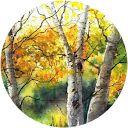 Clarice B. profile picture