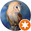 Edward profile picture