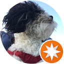 Kellie Z profile picture