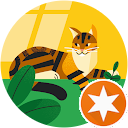 Phoenix Chen profile picture