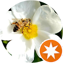 K “Kty” Christensen profile picture