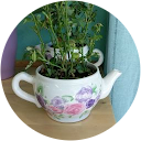 Paul profile picture