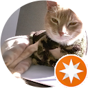 karina k profile picture