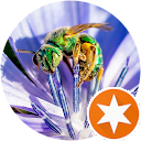 Kari Hudson profile picture