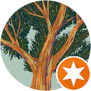 Mandy profile picture