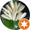 Lin E. profile picture