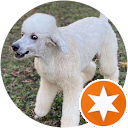 Beffy Blocker profile picture