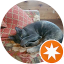 Willow profile picture