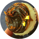 Aidan Mosley profile picture