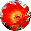 saraohio44 profile picture