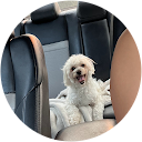 Jennifer Ramirez profile picture