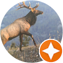 Levi Williams profile picture