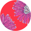 India S profile picture