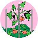 Nathalie Arnone profile picture