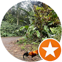 Gerardo Flores profile picture