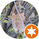 Jess Eig profile picture