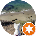 Masumi M profile picture