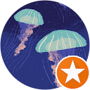 Kris Gearhart profile picture