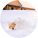 Blaise Masse profile picture