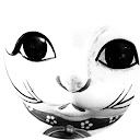 C Ray profile picture