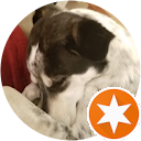 Allison Still profile picture