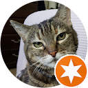 tamara profile picture