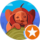 P Cason profile picture