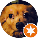 Jaime Rogers profile picture