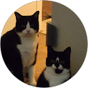 Jaime Cunha profile picture