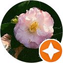 Amelia Grace profile picture