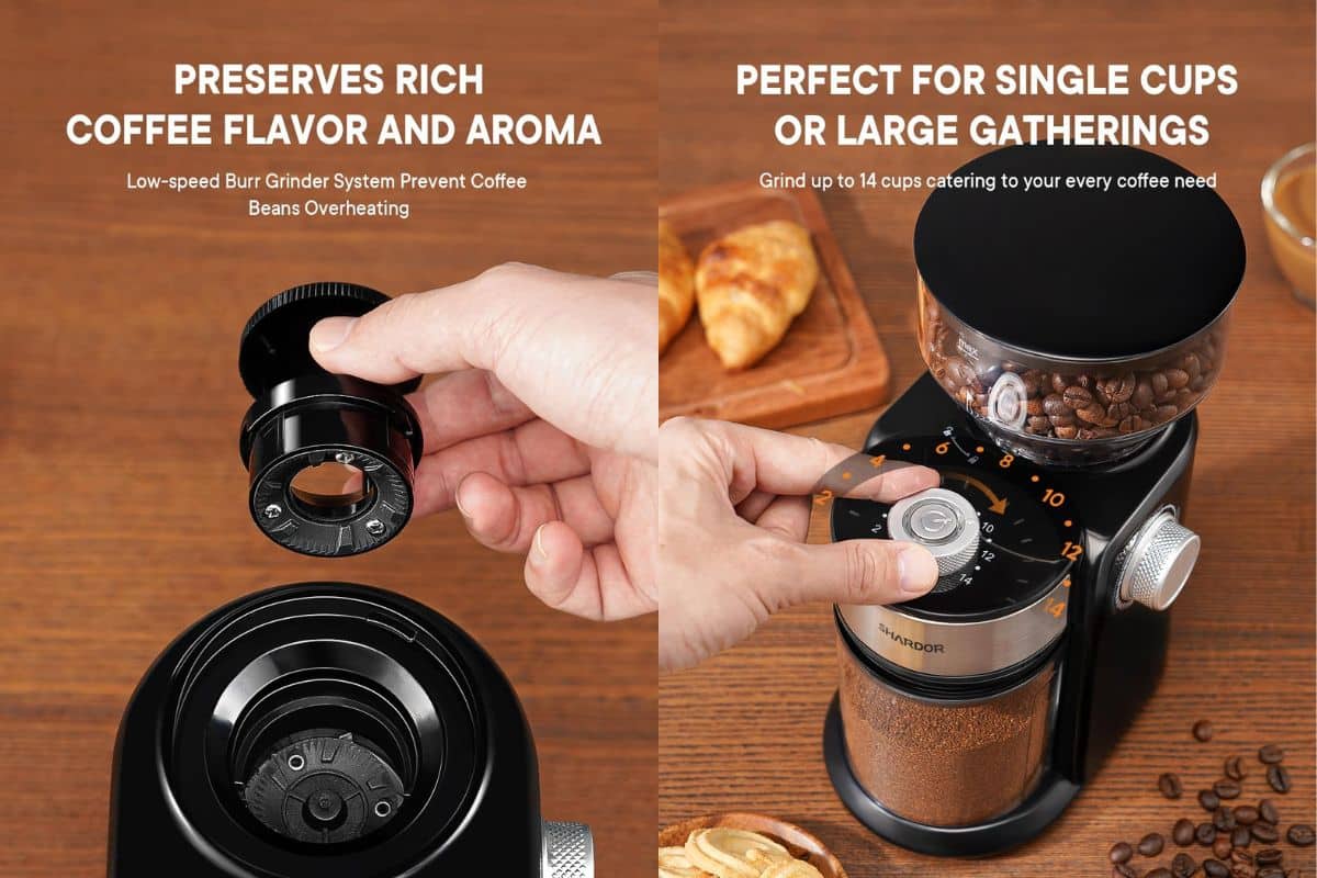 SHARDOR Electric Burr Coffee Grinder 2.0 Review Alpine Mountain Coffee