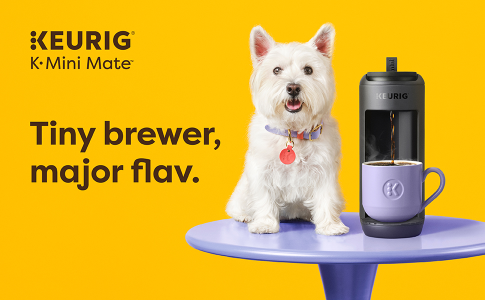 Keurig K-Mini Mate Single Serve K-Cup Pod Coffee Maker