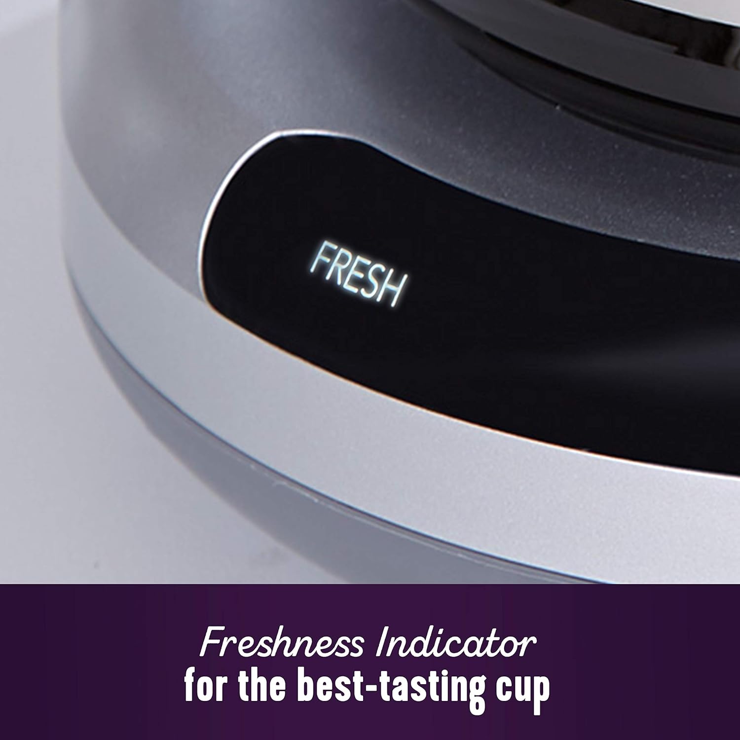 Mr. Coffee Easy Measure 12-Cup Programmable Coffee Maker